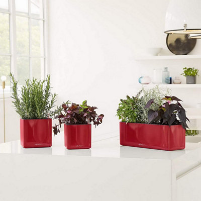 LECHUZA CUBE Glossy 16 Scarlet Red High-Gloss Plastic Self-watering Planter with Water Level Indicator H16 L17 W17 cm