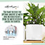 LECHUZA CUBE Glossy 16 White High-Gloss Table Self-watering Planter with Water Level Indicator H16 L17 W17 cm, 1.4L