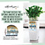 LECHUZA CUBICO 30 Silver Metallic Floor Self-watering Planter with Substrate and Water Level Indicator H56 L30 W30 cm, 50L