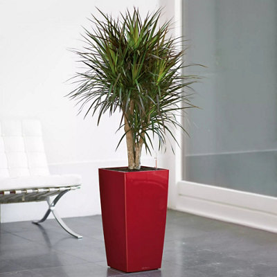 LECHUZA CUBICO 56cm Tall Planter, Scarlet Red High-Gloss Plastic Self-watering Planter with Water Level Indicator H56 L30 W30 cm