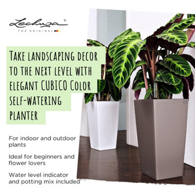 LECHUZA CUBICO Color 30 Nutmeg Floor Self-watering Planter with Substrate and Water Level Indicator H56 L30 W30 cm, 14L