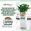 LECHUZA CUBICO Color 30 White Floor Self-watering Planter with Substrate and Water Level Indicator H56 L30 W30 cm, 14L