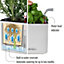 LECHUZA Green Wall Home Kit Color White Hanging Self-watering Planter with Water Level Indicator H14 L48 W15 cm, 1.4x3L