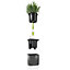 LECHUZA Green Wall Home Kit Glossy White Hanging Self-watering Planter with Water Level Indicator H14 L48 W15 cm, 1.4x3L