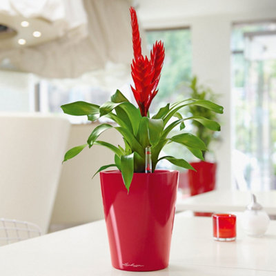 LECHUZA MINI DELTINI Small Scarlet Red High-Gloss Plastic Self-watering Planter with Water Level Indicator D10 H13 cm