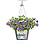LECHUZA NIDO Cottage 35 White Self-watering Hanging Planter with Substrate and Water Level Indicator D35 H23 cm, 11L