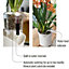 LECHUZA ORCHIDEA Shiny Taupe Matt Table Self-watering Planter with Substrate and Water Level Indicator D18 H19.5 cm, 1.01L