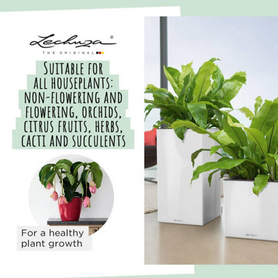 LECHUZA PON Peat-Free Houseplant Potting Mix for Indoor Plants Potting Compost for Plants Indoors 3 Liter