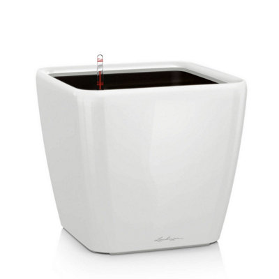 LECHUZA QUADRO LS 21 cm Small Square Planter, White High-Gloss Self-watering Planter with Substrate and Water Level Indicator