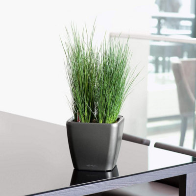 LECHUZA QUADRO LS 21 cm Square Planter, Charcoal Metallic Self-watering Planter with Substrate and Water Level Indicator