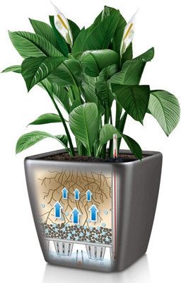 LECHUZA QUADRO LS 21 cm Square Planter, Charcoal Metallic Self-watering Planter with Substrate and Water Level Indicator