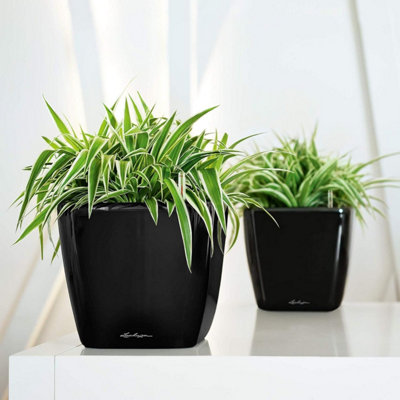 LECHUZA QUADRO LS 21 cm Square Planter, Charcoal Metallic Self-watering Planter with Substrate and Water Level Indicator