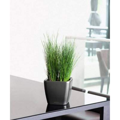 LECHUZA QUADRO LS 28 Black High-Gloss Table Self-watering Planter with Substrate and Water Level Indicator H26 L28 W28 cm, 20L