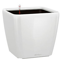 LECHUZA QUADRO LS 50 White High-Gloss Self-watering Planter with Substrate and Water Level Indicator H47 L50 W50 cm, 118L