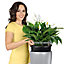 LECHUZA RONDO 40 Silver Self-watering Planter with Substrate and Water Level Indicator D40 H75 cm, 94L