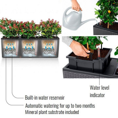 LECHUZA TRIO Cottage 30 Graphite Black Self-watering Planter Plant Pot with Water Level Indicator H34 L100 W32 cm