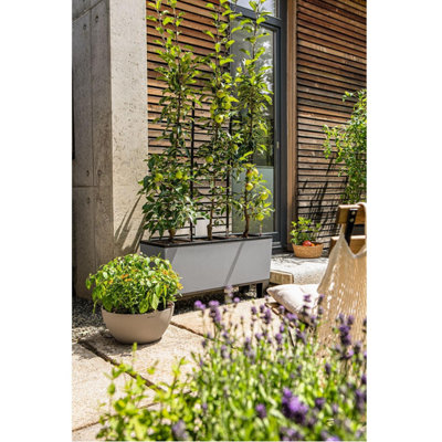 LECHUZA TRIO Stone 30 Stone Grey Self-watering Planter with Substrate and Water Level Indicator H34 L100 W32 cm
