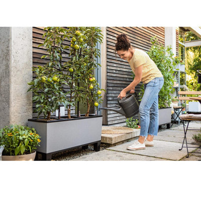 LECHUZA TRIO Stone 30 Stone Grey Self-watering Planter with Substrate and Water Level Indicator H34 L100 W32 cm