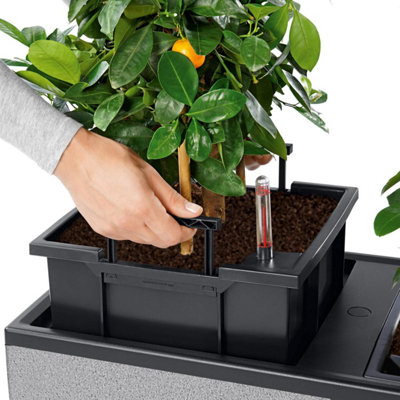 LECHUZA TRIO Stone 30 Stone Grey Self-watering Planter with Substrate and Water Level Indicator H34 L100 W32 cm