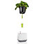 LECHUZA YULA White/Green Semi-Gloss Table Self-watering Planter with Water Level Indicator H15 L16.5 W16.5 cm, 1.5L