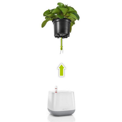 LECHUZA YULA White/Pearl Rose Semi-Gloss Table Self-watering Planter with Water Level Indicator H15 L16.5 W16.5 cm, 1.5L
