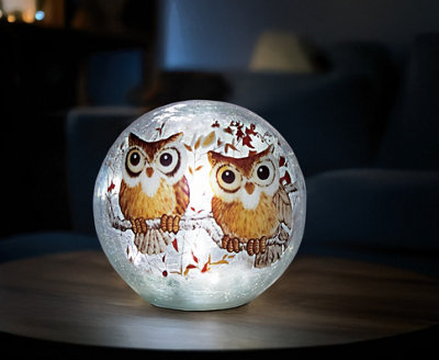 LED Crackle Glass Owl Lamp with 6 Hour Timer, Battery Operated, 15cm ...