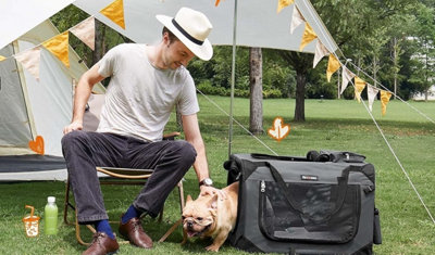 LEDREM Collapsible Dog Crate, Pet Carrier, Portable Soft Dog Crate ...