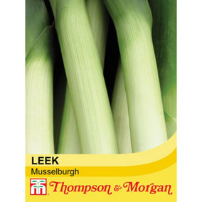 Leek Musselburgh 1 Seed Packet (350 Seeds)