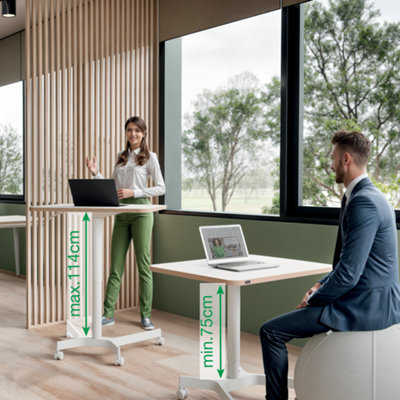 Leitz Ergo Electric Sit Standing Desk Adjustable Movable Home Office Compter Laptop Table Workstation DIY at B Q