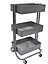 Lena 3-Tier Storage Rolling Cart, For Office/Beauty Salon/Home,Grey