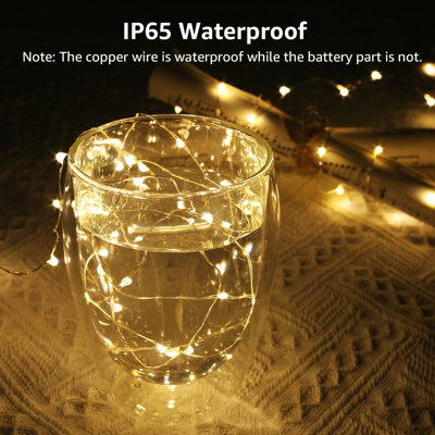 Lepro Small Fairy Lights, 1m 20 LEDs, Mini Copper Wire LED String ...