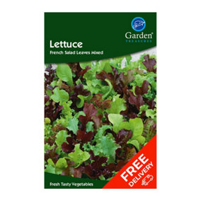 Lettuce French Salad Leaves Mxd (Lactuca sativa)