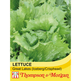 Lettuce Great Lakes - Heritage 1 Seed Packet (400 Seeds)