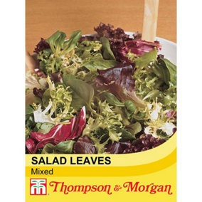 Lettuce Leaves Mixed 1 Seed Packet (400 Seeds)