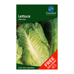 Lettuce Little Gem (Lactuca sativa)