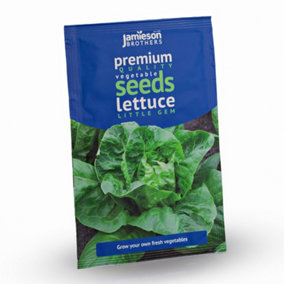 Lettuce Little Gem Vegetable Seeds (Approx. 800 seeds) by Jamieson Brothers