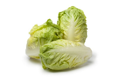 Lettuce Little Gem Vegetable Seeds (Approx. 800 seeds) by Jamieson Brothers - 3