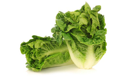 Lettuce Little Gem Vegetable Seeds (Approx. 800 seeds) by Jamieson Brothers - 5