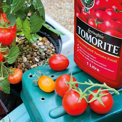 Levington Tomorite Concentrate 1L - Liquid Fertiliser for Healthy Plants