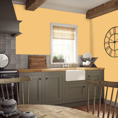 Leyland Trade Hardwearing Acrylic Eggshell Emulsion Paint Chunk of ...
