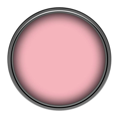 Leyland Trade Hardwearing Acrylic Eggshell Emulsion Paint (S 0540-R10B ...