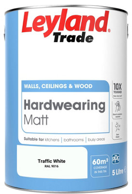 RAL 9016 Traffic White Pint Can