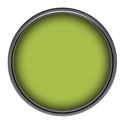 Curated visual reference: Gallery Detail: Leyland Trade Truguard Smooth Masonry Paint Fibrous Green Ral 6039
