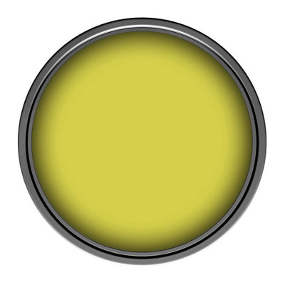 Leyland Trade Vinyl Matt Walls & Ceilings Emulsion Paint (S 1060-G70Y) 5L