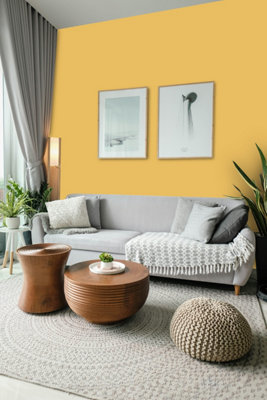 Leyland Trade Vinyl Matt Walls & Ceilings Emulsion Paint Sol De Yucatan ...