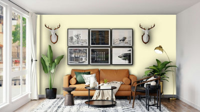 Leyland Trade Vinyl Silk Walls & Ceilings Emulsion Paint (S 0510-Y) - 5L