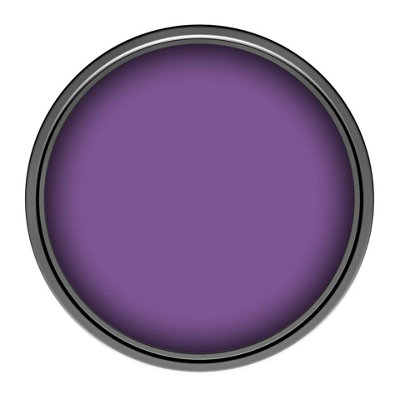 Leyland Trade Vinyl Silk Walls & Ceilings Emulsion Paint (S 3055-R50B) - 5L