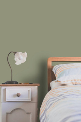 Sage Green Wall Paint Silk