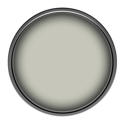 Leyland Trade Vinyl Soft Sheen Walls & Ceilings Emulsion Paint Metallic ...