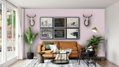 Leyland Trade Vinyl Soft Sheen Walls & Ceilings Emulsion Paint Rose ...